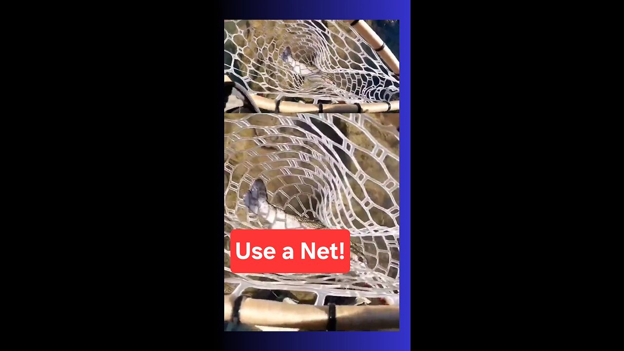 Great Reason to Use a Net!