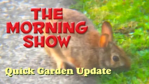 Tony C's Mid-Atlantic States Garden Update 4-7-21