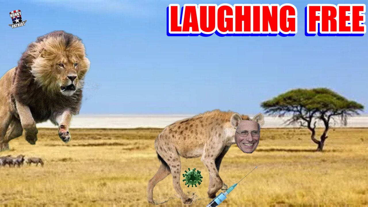 Fauci Laughs About Being Prosecuted, Brags About Masks on CNN