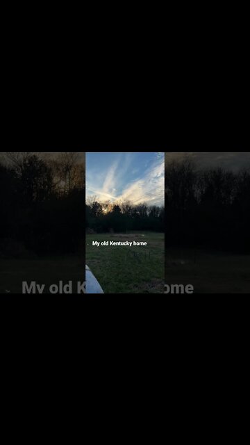 Kentucky Sunset #shorts