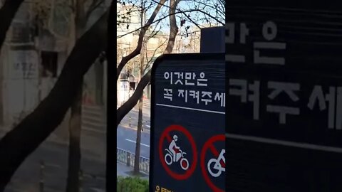 벛꽃 길을 걸어요~