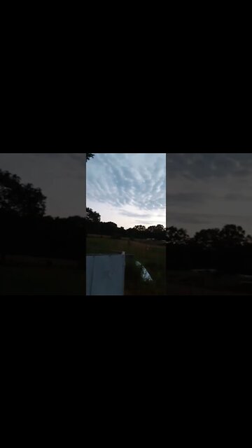 It's a Beautiful Morning