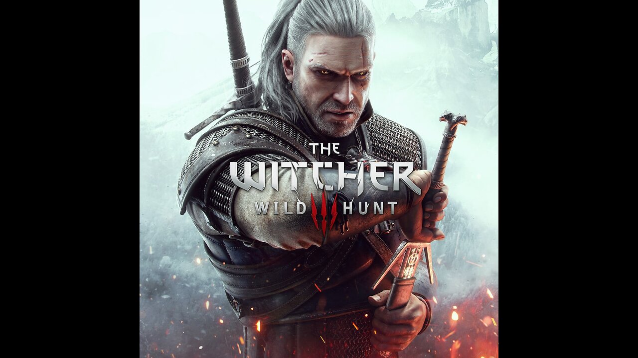 The Witcher 3 Wild Hunt part 6