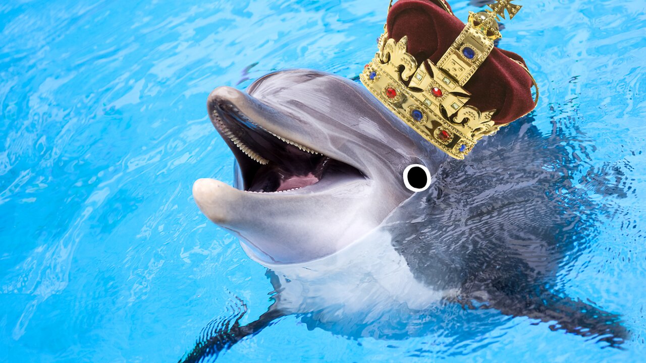 The Queen Owns all the Swans and Dolphins!