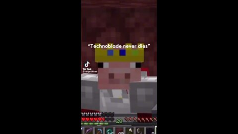Meme Shitposts