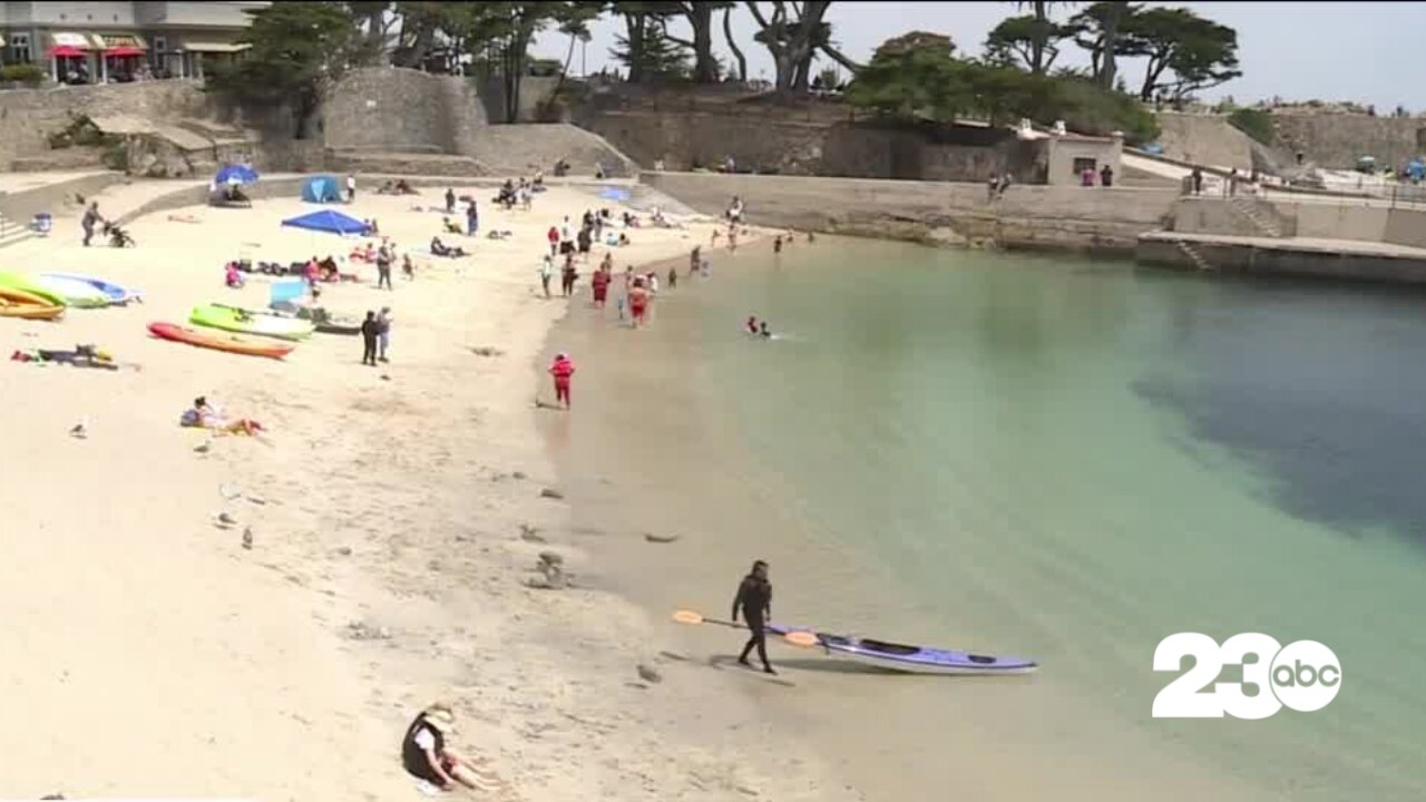 California beach reopens days after shark attack