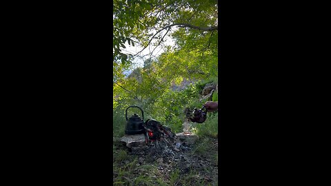 Fire tea in nature