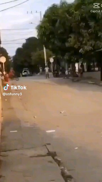 Paws-itively Hilarious: Dog's Quest to Catch Bikers"