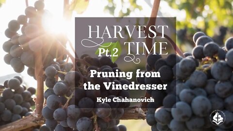 Harvest Time - Pruning From The Vinedresser - Kyle Chahanovich October 10th, 2021