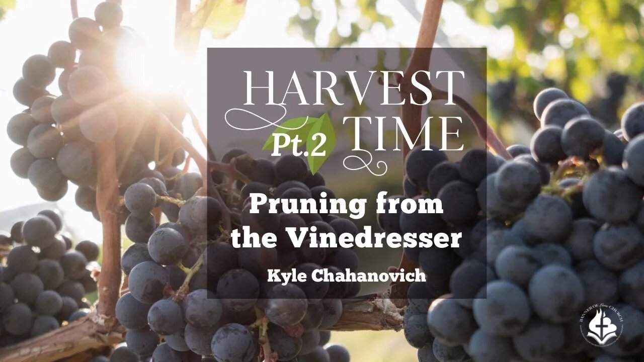 Harvest Time - Pruning From The Vinedresser - Kyle Chahanovich October 10th, 2021