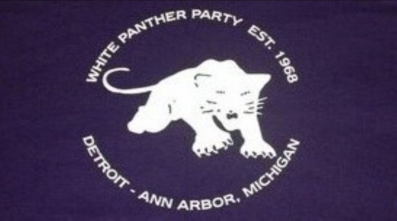 The White Panthers