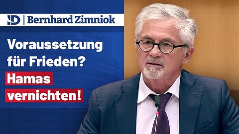 𝐁𝐞𝐫𝐧𝐡𝐚𝐫𝐝 𝐙𝐢𝐦𝐧𝐢𝐨𝐤 ▶️ Voraussetzung für Frieden? Hamas vernichten!@AfD im EU-Parlament🙈