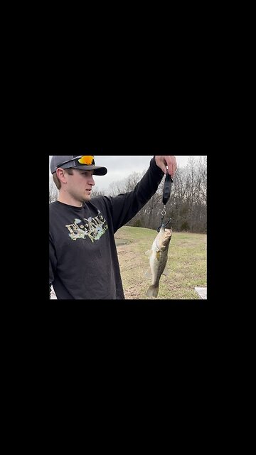 Farm Pond Bass Management