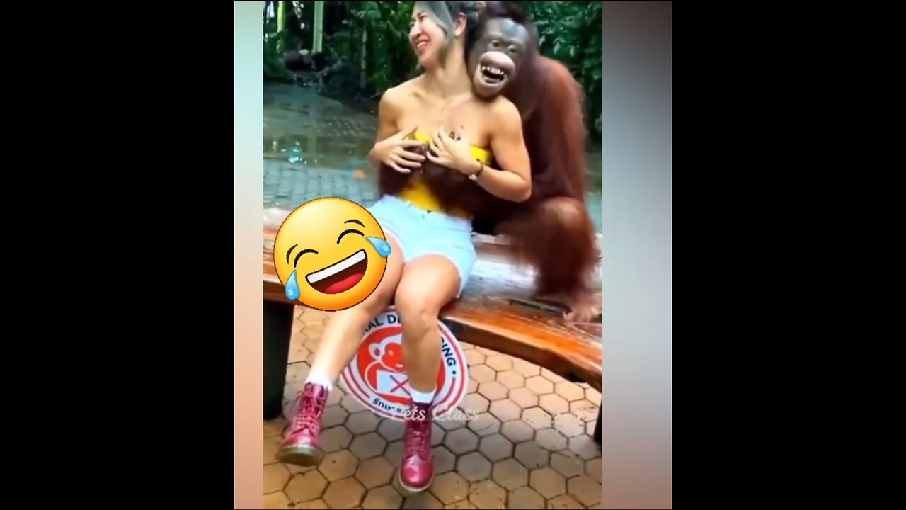 Funniest Animals new