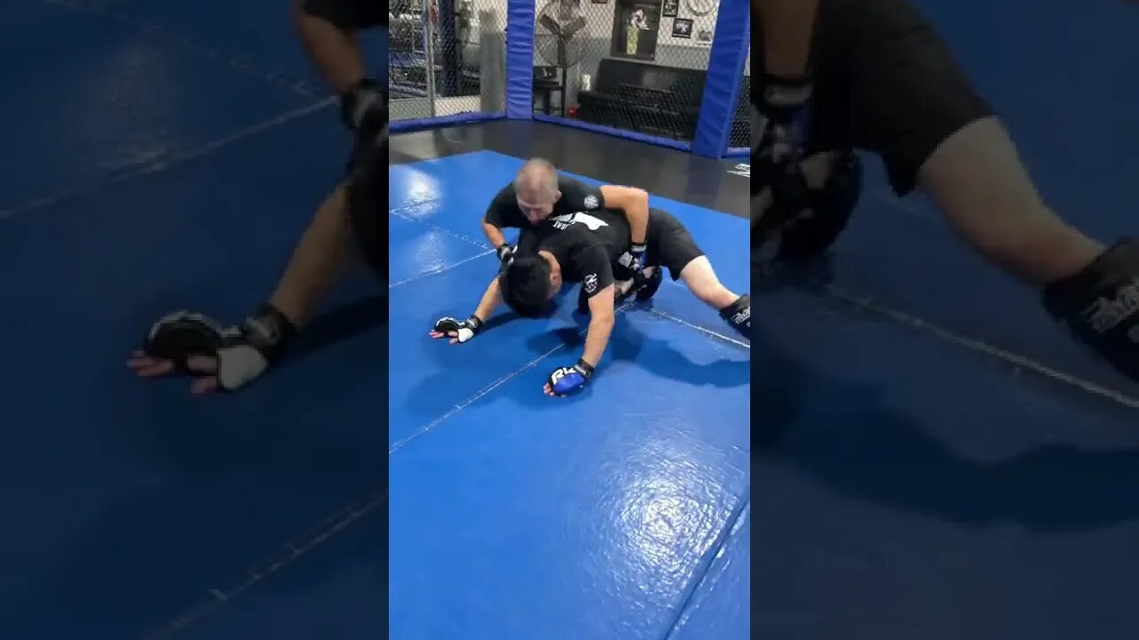 Bull Dog Choke from Turtle