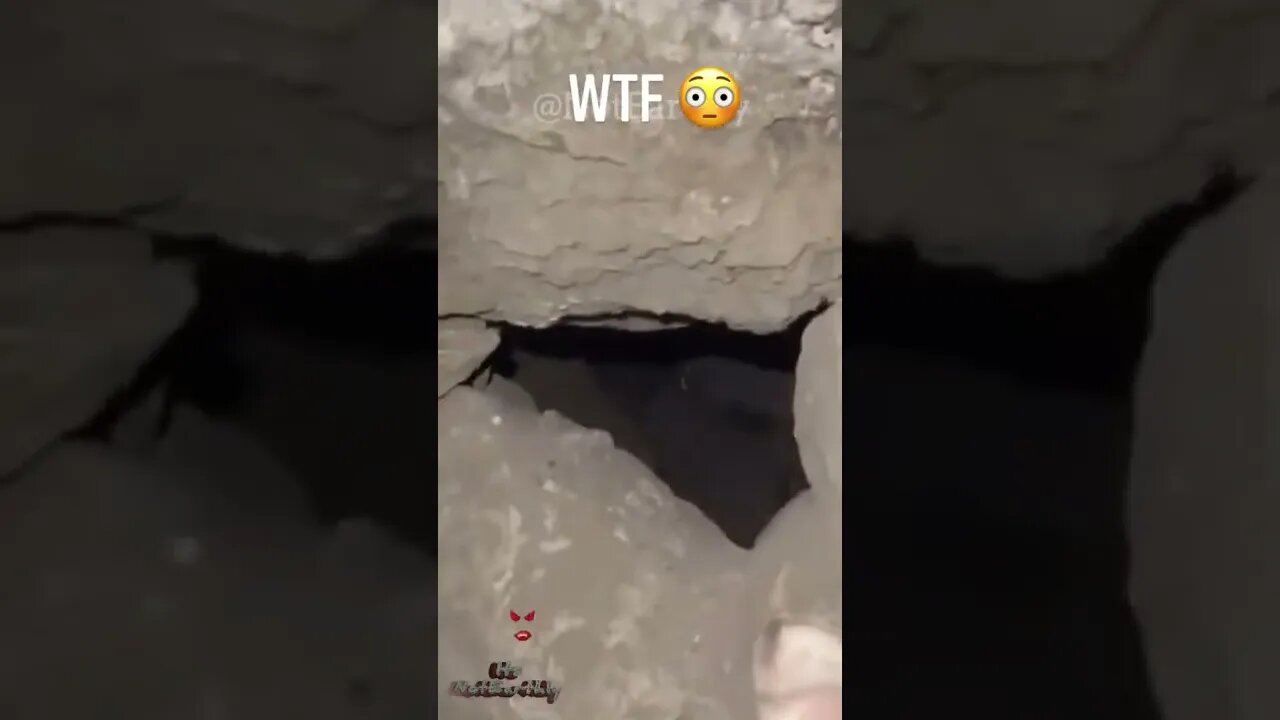 What in the world is this?