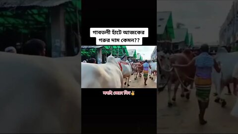 গাবতলী হাটে আজকের গরুর দাম | gabtoli hat cow price 2022