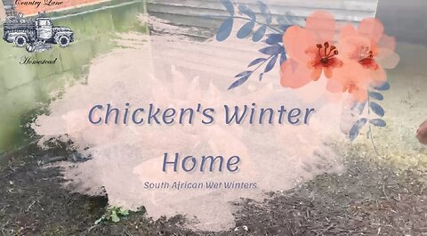 How I over-winter my chickens during wet winters in South Africa