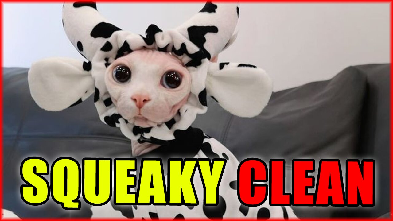 SLOWPOKE EDITION - COHOST BO, GENERAL MIKE FLYNN, TRUST ME, EPSTEIN LIST, CHICKEN MCNUGGETS