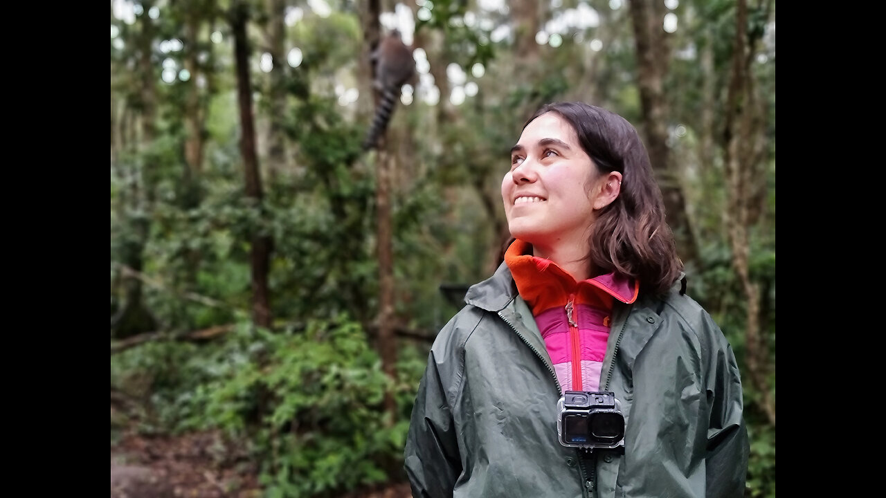 Watch: Adela Cebeiro Sheds Light on Nut-Cracking Skills of Brown Capuchins at Monkeyland