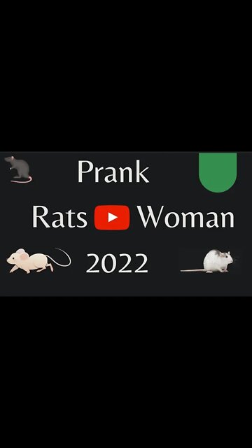 Scary, Rat vs Woman Prank New