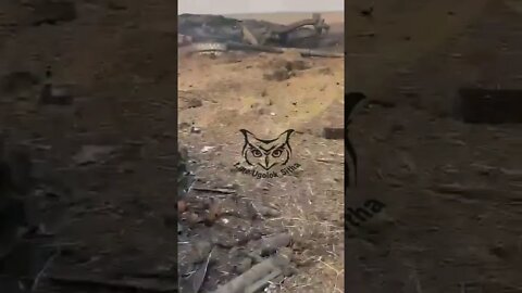 Destroyed Ukrainian tanks