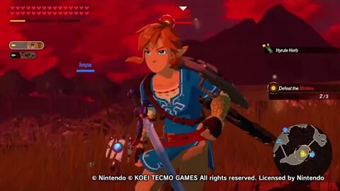 Link vs. Moblin