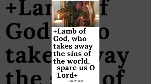 Lamb of God, who takes away the sins of the world, spare us O Lord #shorts