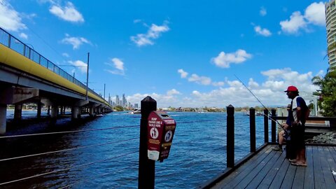 Walking in Gold Coast Southport | Australia