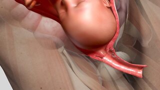What If Men Could Get Pregnant?