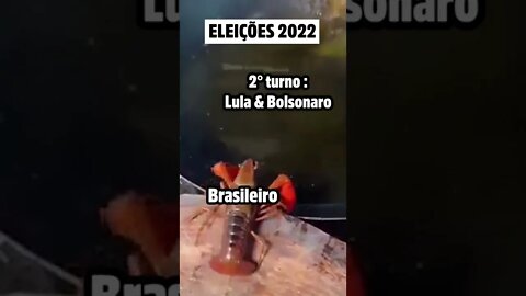 LAGOSTA SE JOGA NA ÓLEO FERVENDO - versão brasileira #shorts