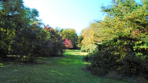 A Look Around The Eagles Nest Disc Golf Course !