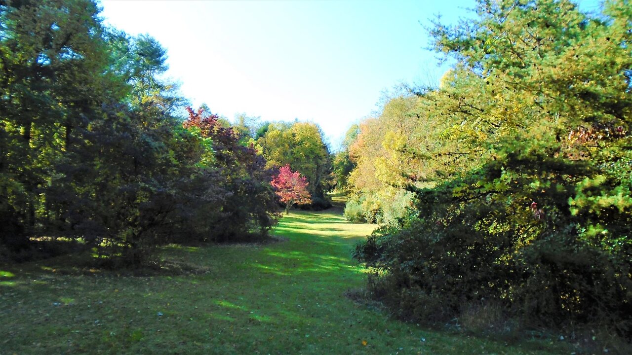 A Look Around The Eagles Nest Disc Golf Course !