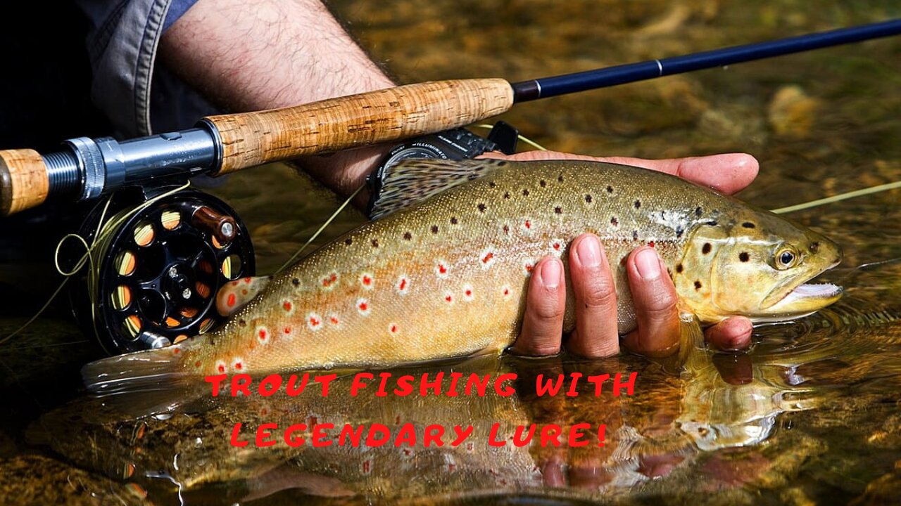 Trout fishing with legendary lure!