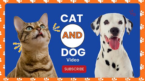 😂2. Funny Cats and Dogs videos 2 😂