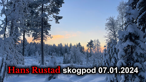 Skogpod 7. januar 2024