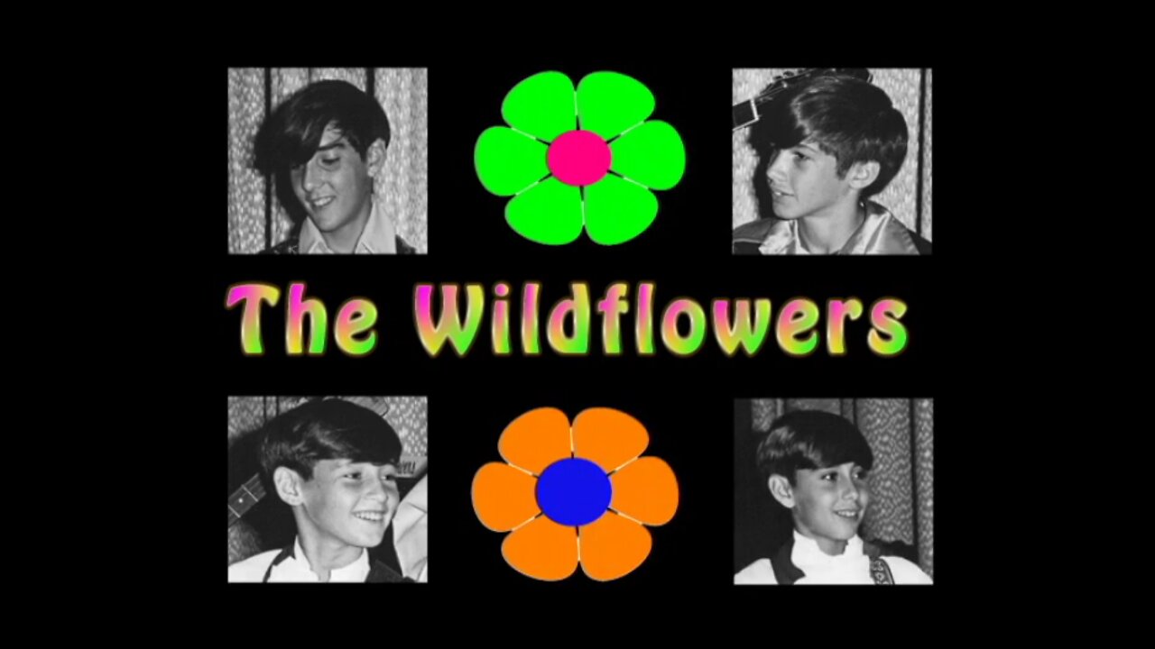 The Wildflowers