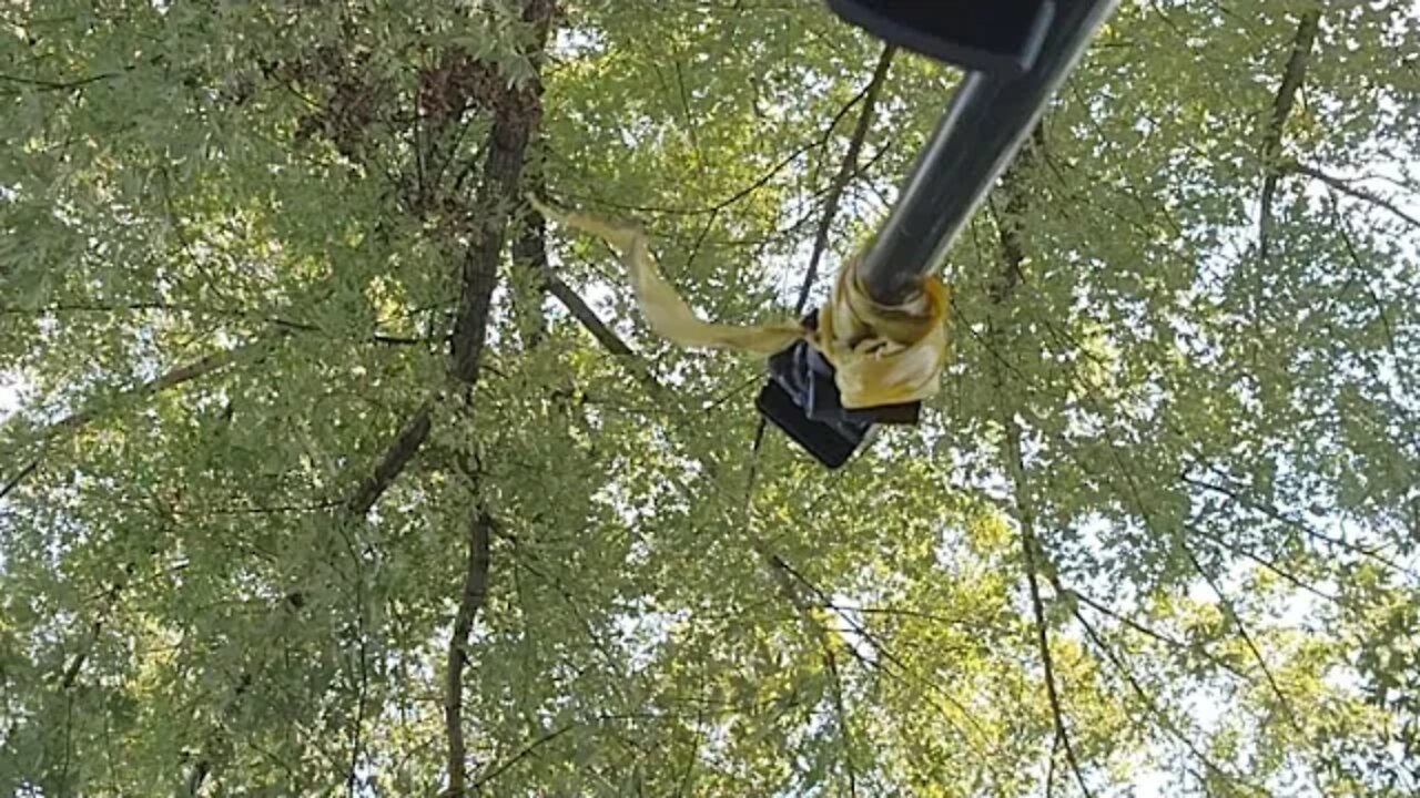 Thanks For All The Donations #thanksforbeingyou