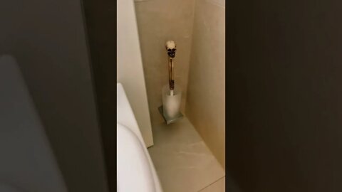 The Skull Toilet