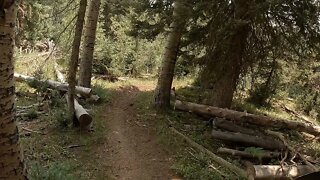 Uncompahgre National Forest - Hornet Trail 131