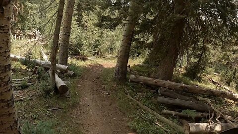 Uncompahgre National Forest - Hornet Trail 131