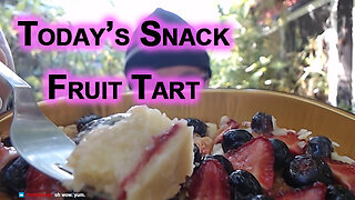 Today’s Snack: Fruit Tart [Food, Eating]