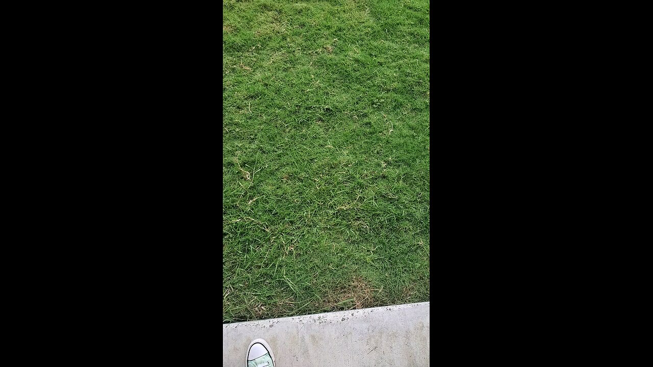 My Special Flower - September '23