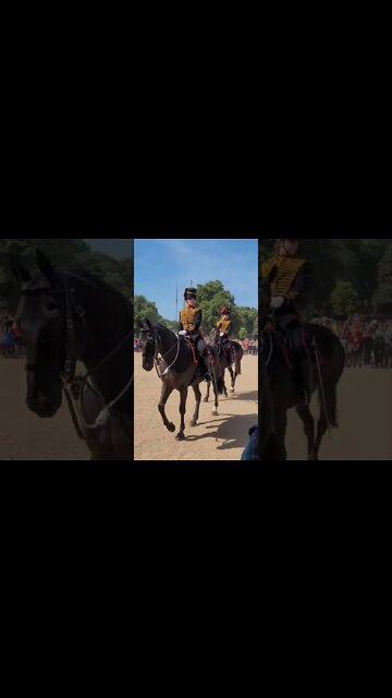 Look left horse Guards parade #horseguardsparade