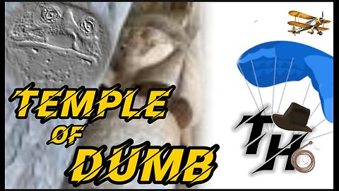 Balnis and the Temple of DUMB
