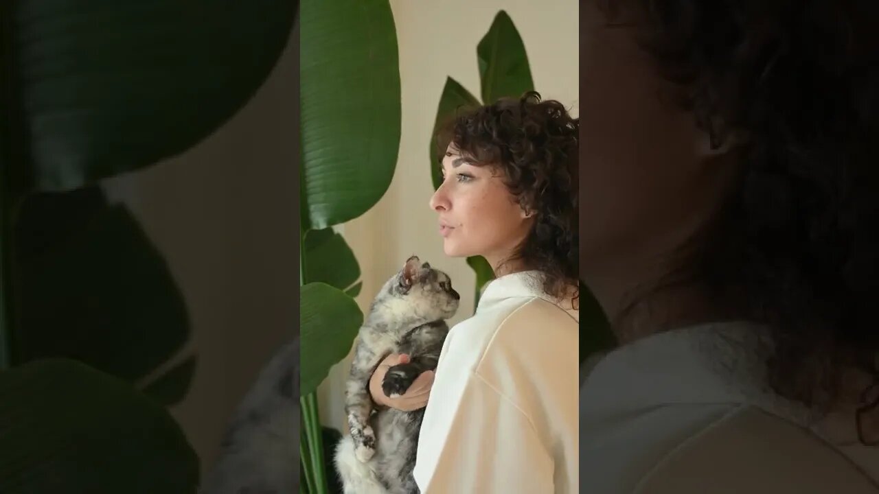 KUCING LUCU #PART 64