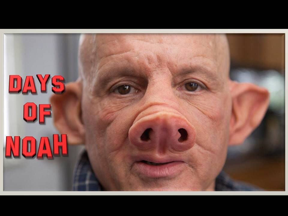 First Ever Genetically Modified Pig Heart And Kidneys Implanted In Humans