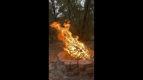 Freedom #florida #new #forest #gainsville #bell #fire