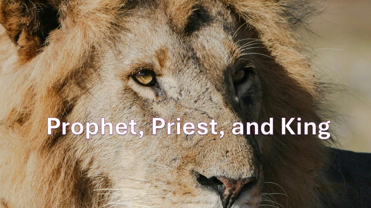 Sermon Only | Prophet, Priest, and King | December 22, 2024