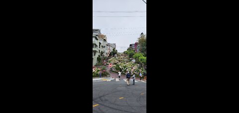 Lombardi Street San Francisco California